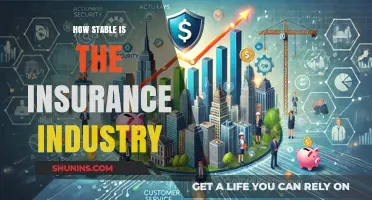 Assessing the Stability of the Insurance Industry: Risks and Resilience