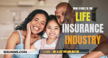 Life Insurance Industry: Stability and Future Outlook