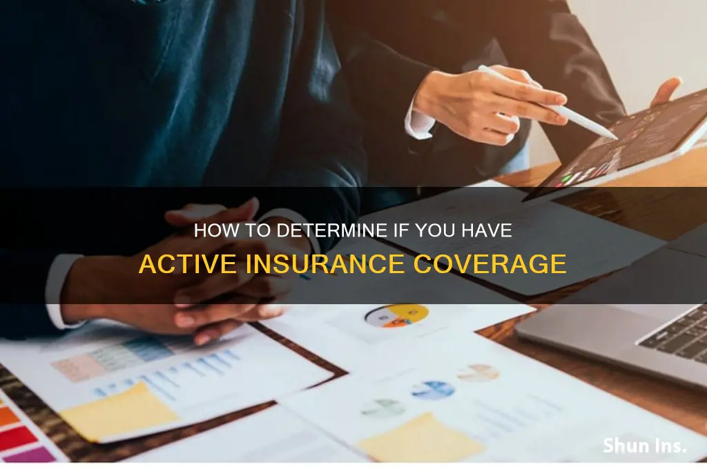 how t tell if have insurance