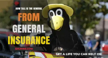 Unveiling the Height Mystery: General Insurance's Iconic Figure Explored