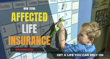 TEFRA's Impact: Life Insurance Changes and Challenges