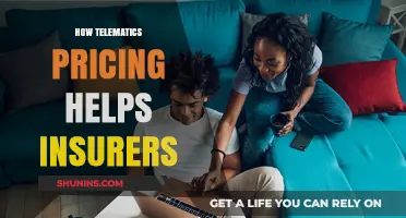 Telematics Pricing: Revolutionizing Insurance with Data-Driven Risk Assessment