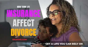 Life Insurance: Divorce Impact and Financial Planning