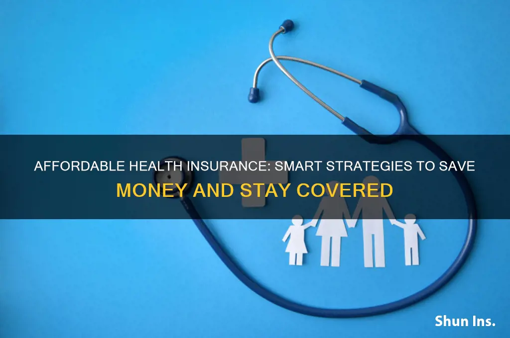 how the fruck to afford health insurance