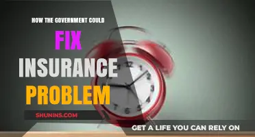 Government Solutions to Reform and Fix the Insurance Crisis
