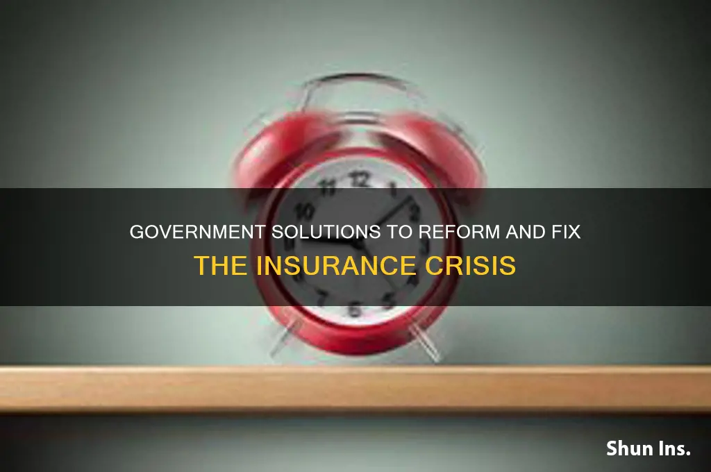 how the government could fix insurance problem