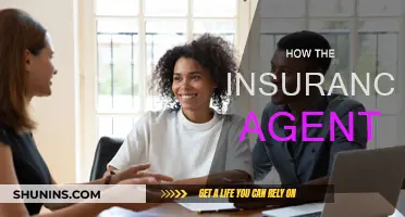 Insurance Agents: Your Guide to a Secure Future