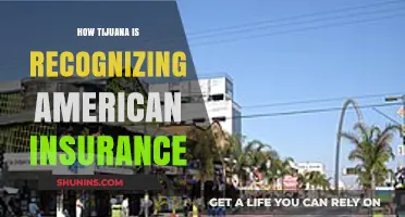 Tijuana's Shift: Recognizing American Insurance for Cross-Border Drivers
