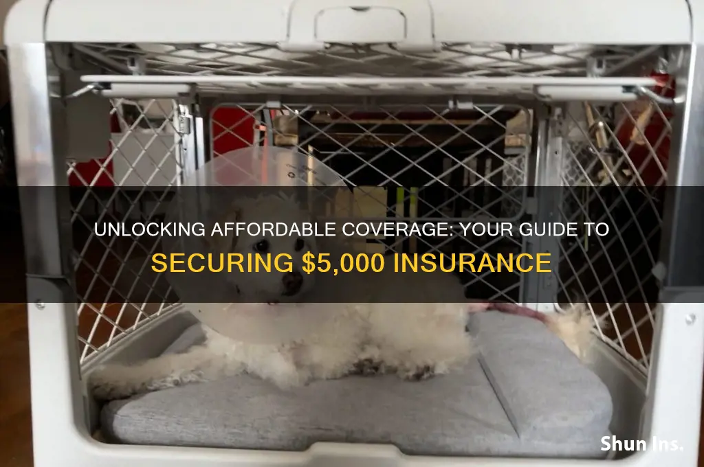 how to 5k insurance