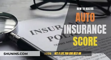 Accessing Your Auto Insurance Score: A Step-by-Step Guide