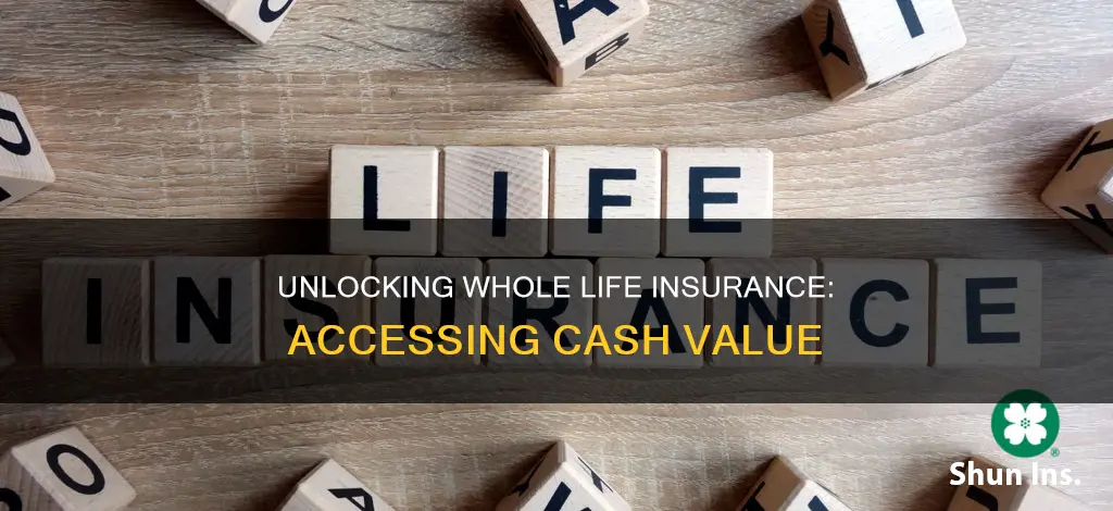 how to access cash value of whole life insurance