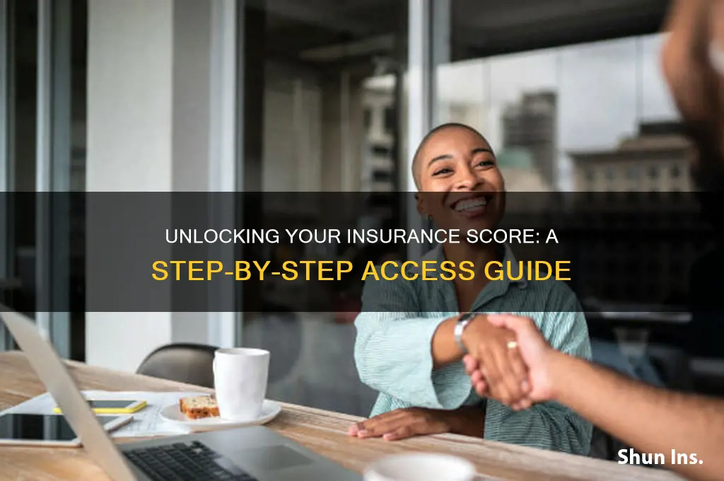 how to access insurance score