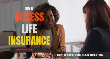 Accessing Life Insurance: A Simple Guide to Getting Covered