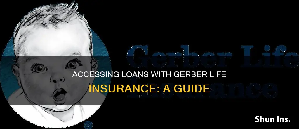 how to access loan on gerber life insurance