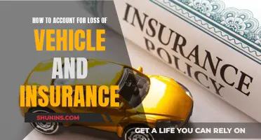 Vehicle Loss: Insurance Accounting