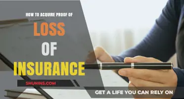Steps to Obtain Proof of Loss for Insurance Claims