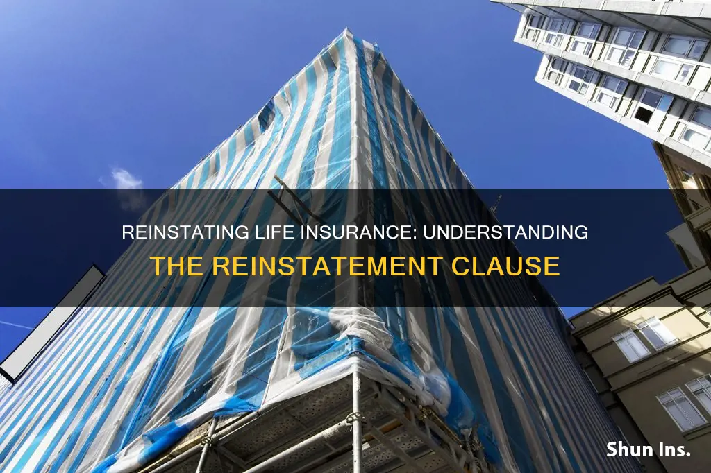 how to activeate reinstatement clause in life insurance