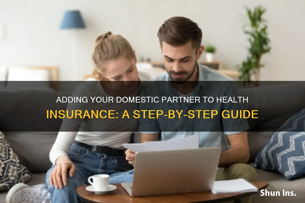 how to add a domestic partner to health insurance