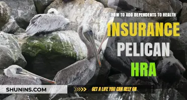 Adding Dependents to Your Pelican HRA Health Insurance Plan: A Guide