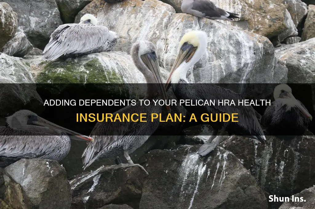 how to add dependents to health insurance pelican hra