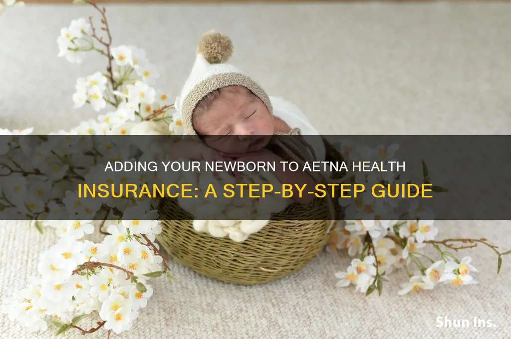 how to add newborn to health insurance aetna