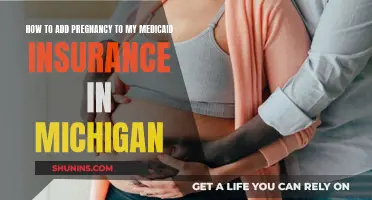 Michigan Medicaid: Adding Pregnancy Coverage
