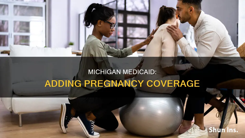 how to add pregnancy to my medicaid insurance in Michigan