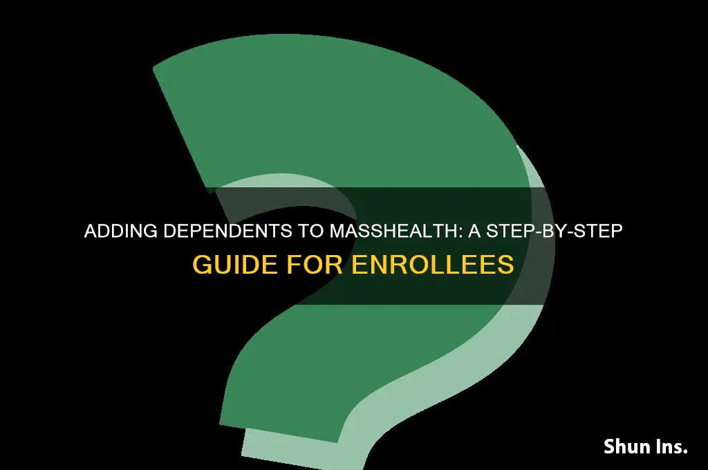how to add someone on your health insurance mass health