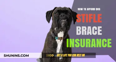 Affordable Dog Stifle Brace Insurance: Tips to Save on Pet Care