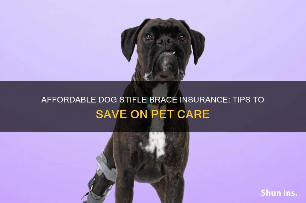 how to afford dog stifle brace insurance