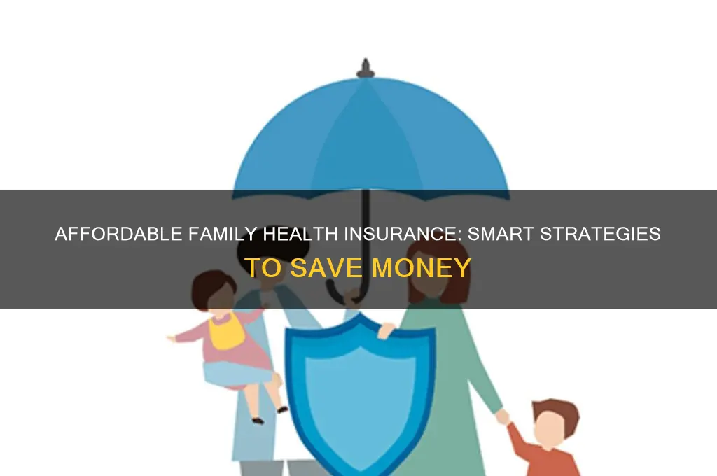 how to afford family health insurance