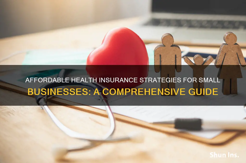 how to afford health insurance small business
