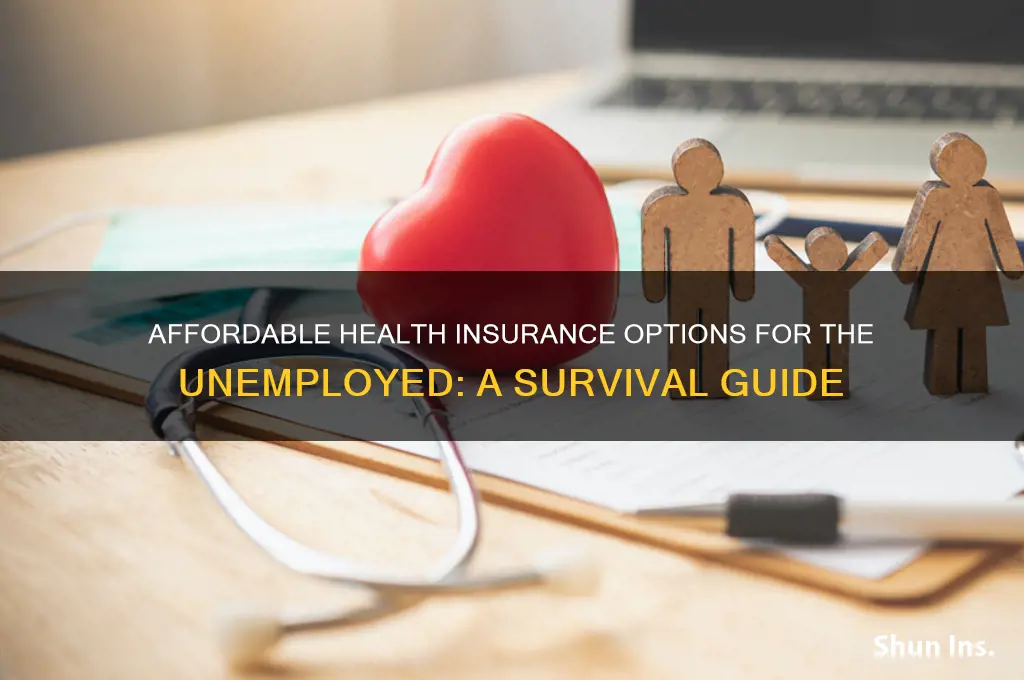 how to afford health insurance when unemployed