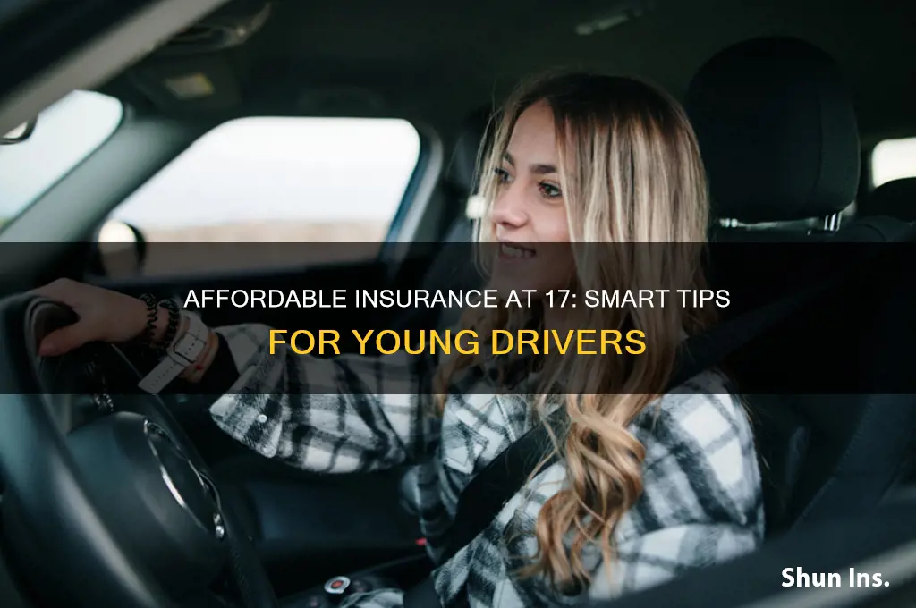 how to afford insurance at 17