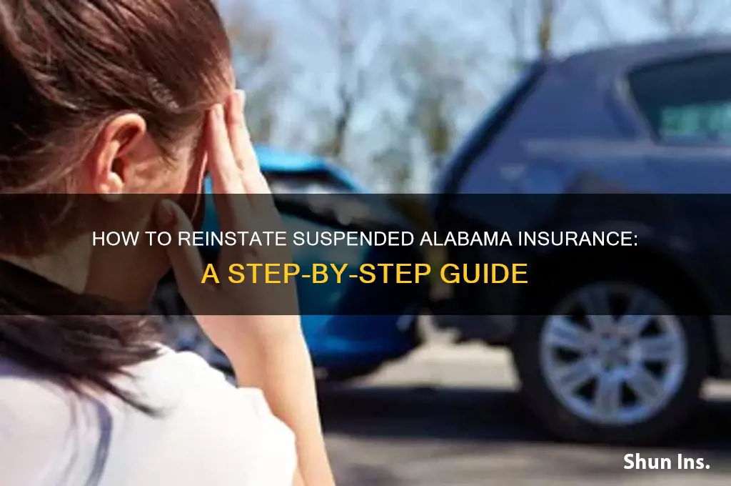 how to alabama insurance suspended