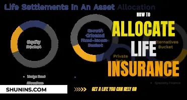 Life Insurance Allocation: Strategies for Effective Coverage