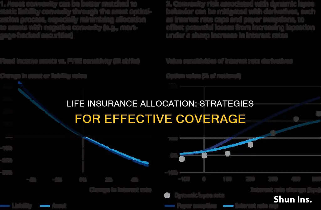 how to allocate life insurance