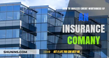 Assessing Insurance Company Credit Worthiness: Key Metrics and Analysis Techniques
