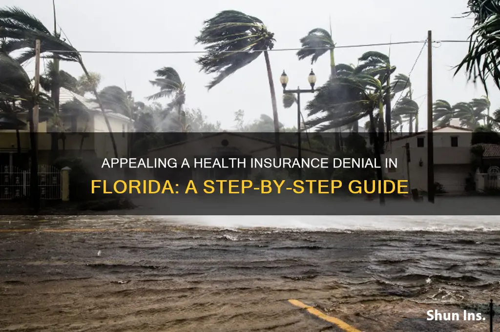 how to appeal a health insurance denial in fl