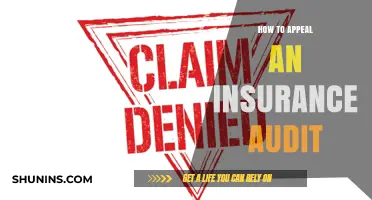 Mastering the Insurance Audit Appeal Process: A Comprehensive Guide