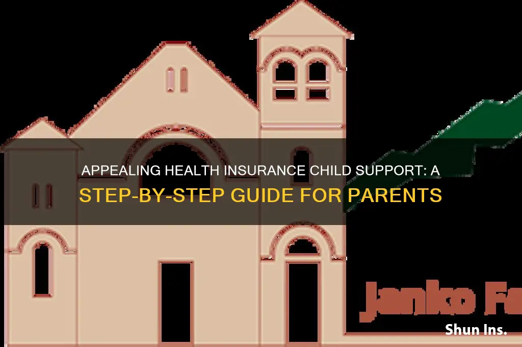 how to appeal health insurance child support