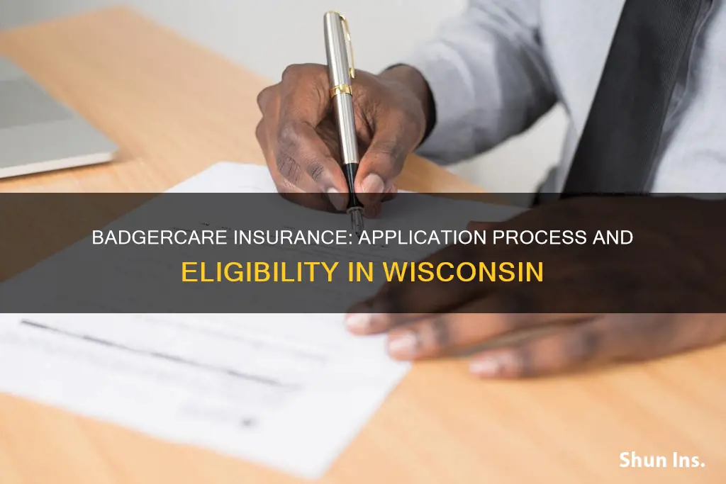 how to apply for badgercare insurance wi
