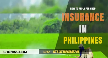Crop Insurance in the Philippines: Application Process Simplified