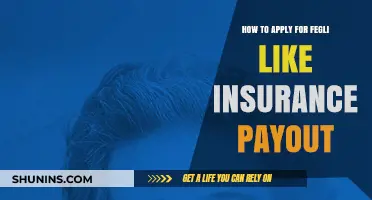 Fegli Insurance: How to Apply for Payout