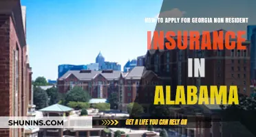 Applying for Georgia Non-Resident Insurance in Alabama