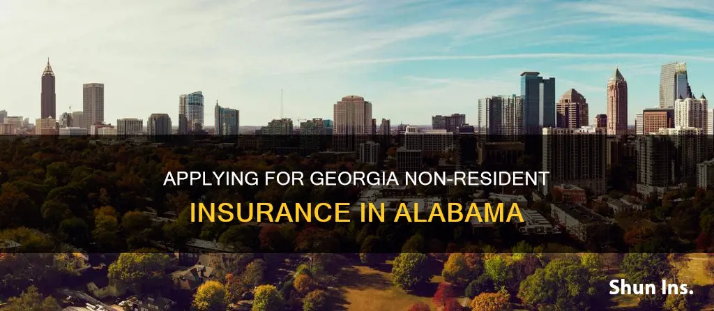 how to apply for georgia non resident insurance in alabama