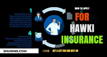 Hawki Insurance: Application Process Simplified