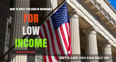 Affordable Health Coverage: A Step-by-Step Guide for Low-Income Families