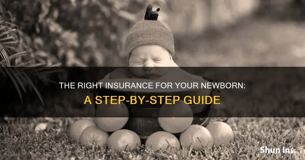 how to apply for insurance for a newborn