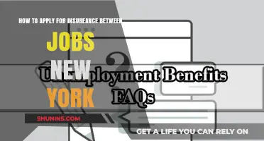 Navigating Insurance Options Between Jobs in New York